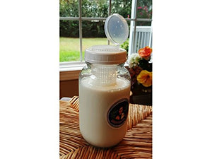 Kefir Fermenter for Rapid Fermenting with Large Container for Kefir Grains 0.6 L/20 oz