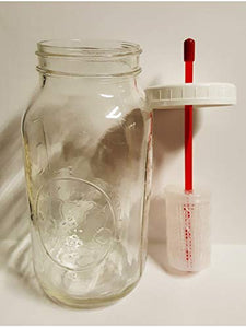 Kefir Fermenter: Set with Large (120cc) container for Use with Jar (Wide Mouth) You Already Have