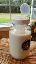 Load image into Gallery viewer, Kefir Fermenter for Rapid Fermenting with Large Container for Kefir Grains 0.6 L/20 oz